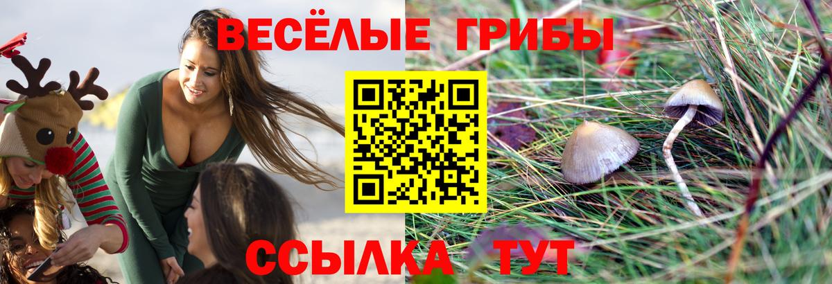 Псилоцибиновые грибы MAGIC MUSHROOMS  Галлюциногенные грибы мицелий  Вход с VPN  Котлас 